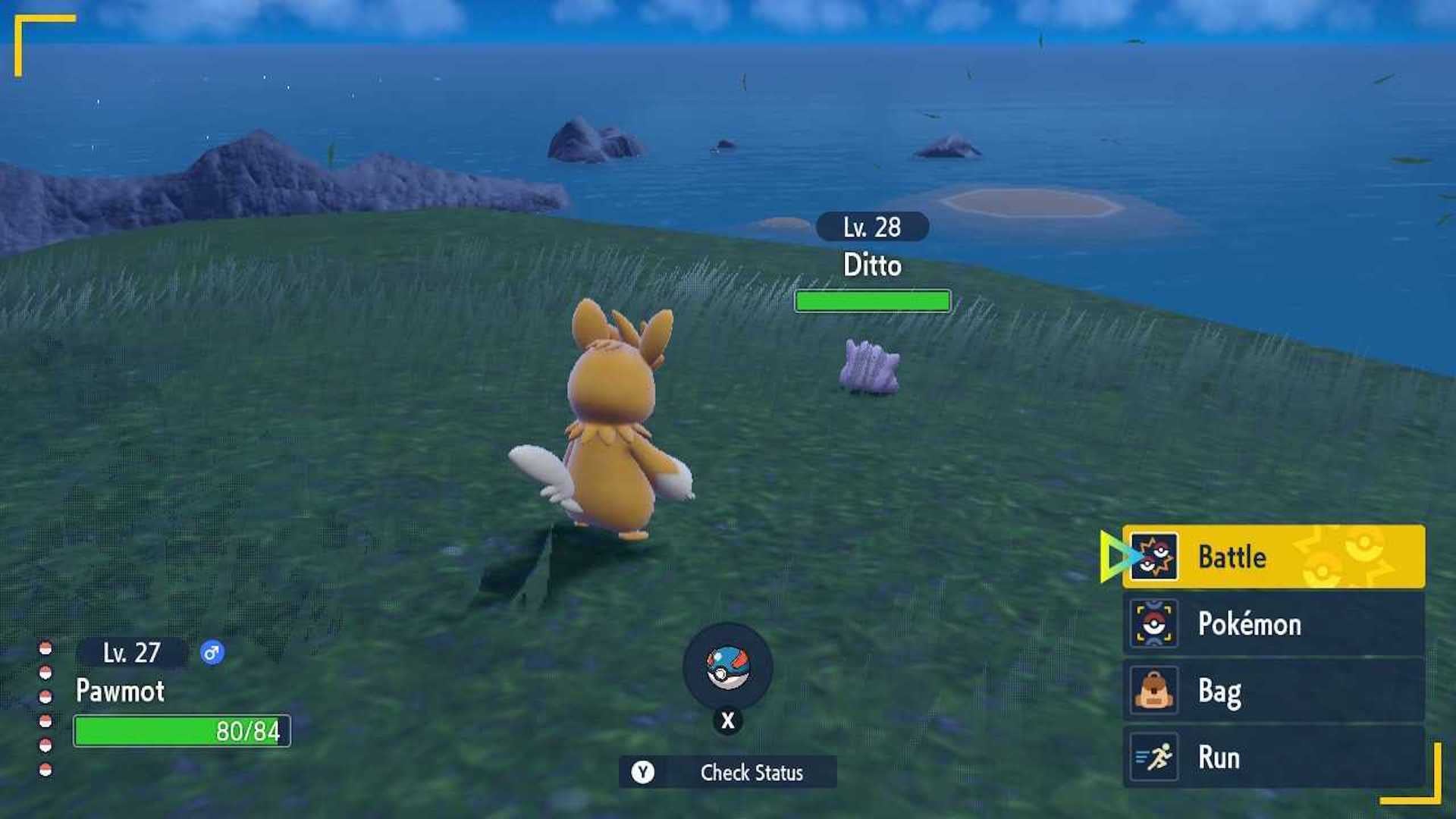Where to find Ditto in Pokémon Scarlet and Violet